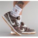 Nike SB Dunk Low Pro Paisley Brown