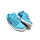 Nike Dunk Low SB Blue Fury