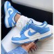 Nike Dunk Low Coast Blue White