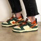 Nike Dunk SB Low Eire