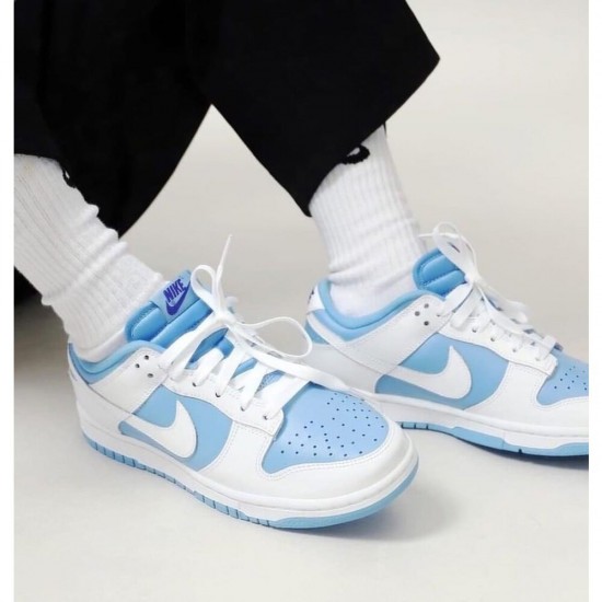 Nike Dunk Low Reverse UNC